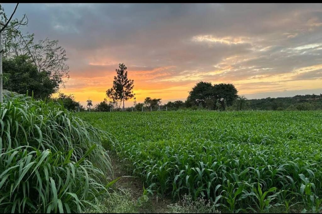Sattva Farmstay Bangalore Esterno foto