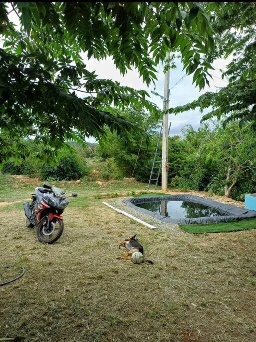 Sattva Farmstay Bangalore Esterno foto