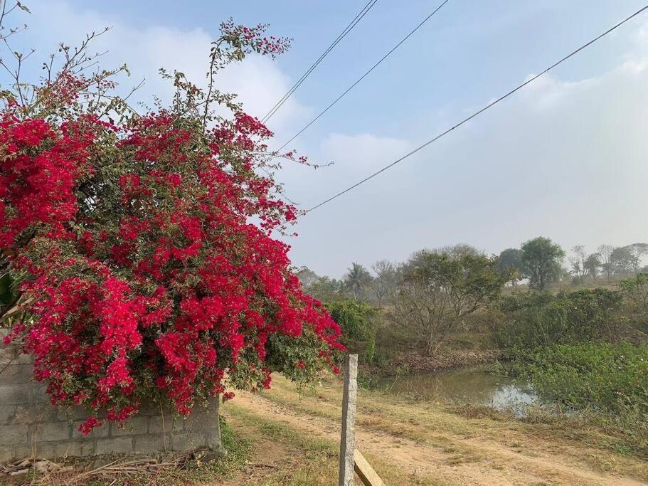 Sattva Farmstay Bangalore Esterno foto